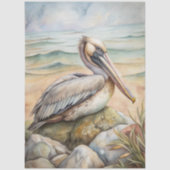 A Coastal Series Design 50 薄葉紙 (正面)