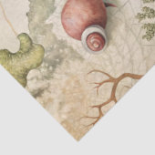 A Coastal Series Design 51 薄葉紙 (詳細)