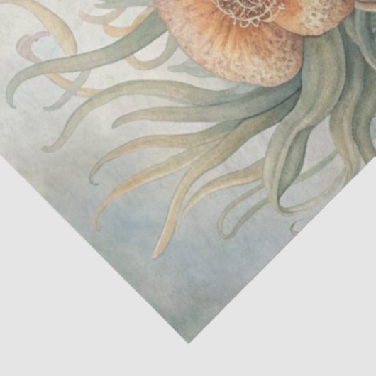 A Coastal Series Design 61 薄葉紙 (詳細)