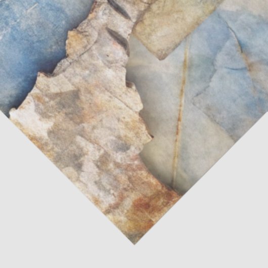 A Coastal Series Design 71 薄葉紙 (詳細)