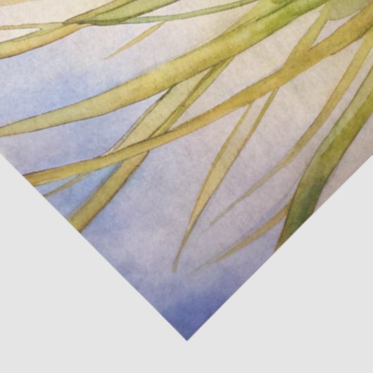 A Coastal Series Design 72 薄葉紙 (詳細)