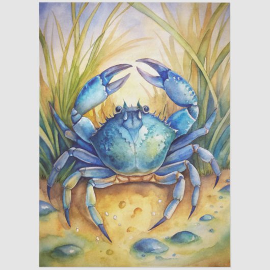 A Coastal Series Design 72 薄葉紙 (正面)