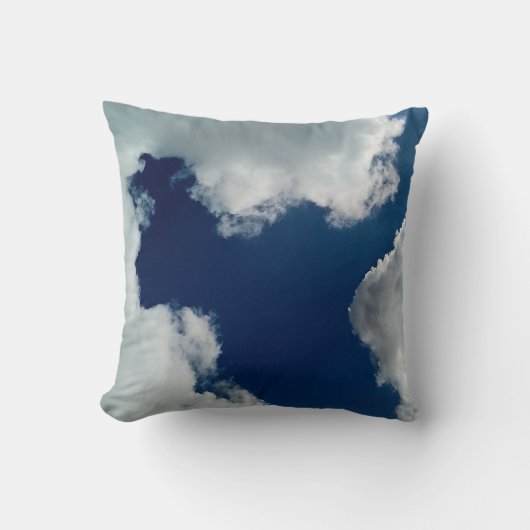 A curve in the clouds クッション (正面)