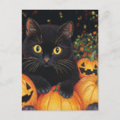 A Cute Black Cat in the Halloween Pumpkins ポストカード (正面)