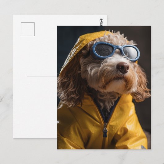 A Cute Dog in a Yellow Raincoat ポストカード (正面/裏面)