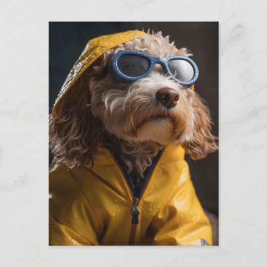 A Cute Dog in a Yellow Raincoat ポストカード (正面)