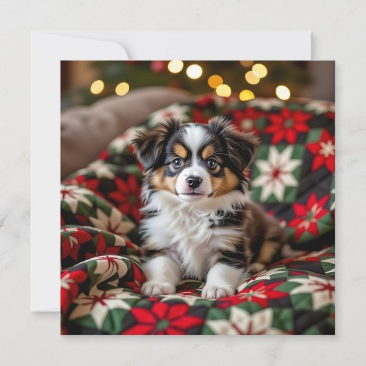 A Cute Festive Papillon Personalized Christmas シーズンカード (正面)