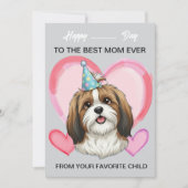 A cute Shih Tzu on a special occasion for Mom  シーズンカード (正面)