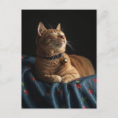 A Cute Sleepy Ginger Kitty  ポストカード (正面)