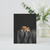 A Cute Sleepy Ginger Kitty on black ポストカード (スタンド正面)