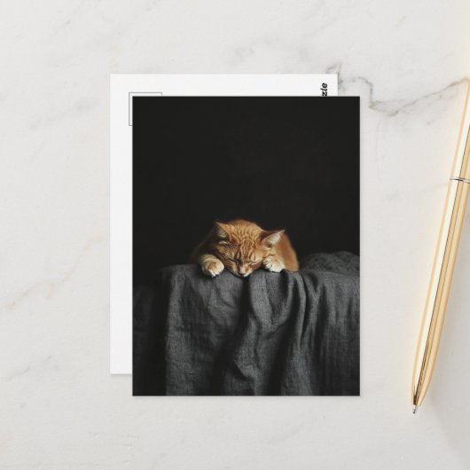 A Cute Sleepy Ginger Kitty on black ポストカード (正面/裏面インサイチュ)