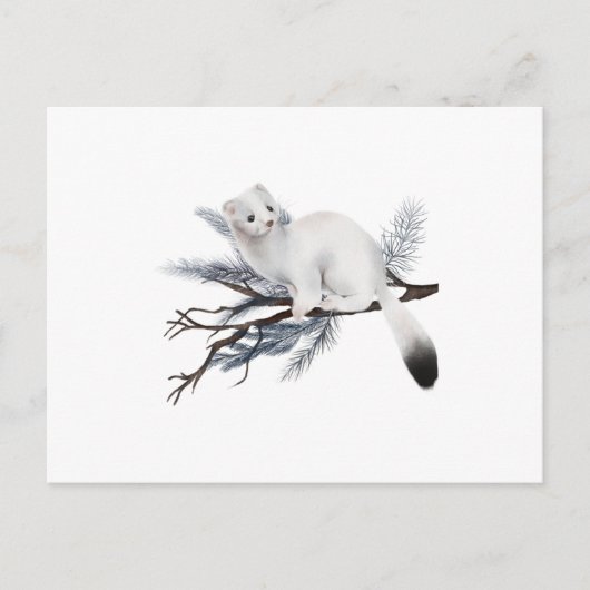 A cute winter weasel perched on a branch ポストカード (正面)