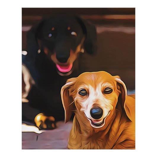 A Dachshund Hot During The Summer Heatwave Poster フォトプリント (正面)