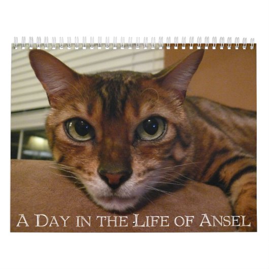 A Day in the Life of Ansel Calendar - 18か月 カレンダー (カバー)