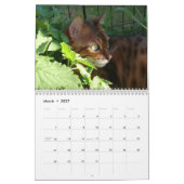 A Day in the Life of Ansel Calendar - 18か月 カレンダー (3月 2027)