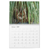 A Day in the Life of Ansel Calendar - 18か月 カレンダー (1月 2027)