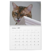 A Day in the Life of Ansel Calendar - 21か月 カレンダー (1月 2027)