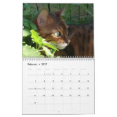 A Day in the Life of Ansel Calendar - 21か月 カレンダー (2月 2027)