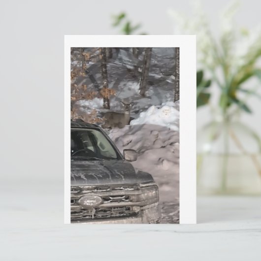 A dear in the headlights 招待状 (スタンド正面)