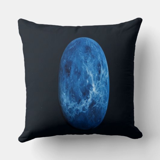 A Deep Blue Planet クッション (裏面)