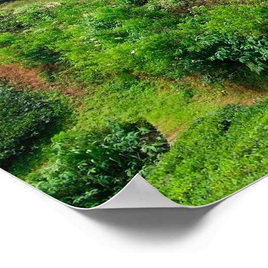 A Desal Train ポスター (角)