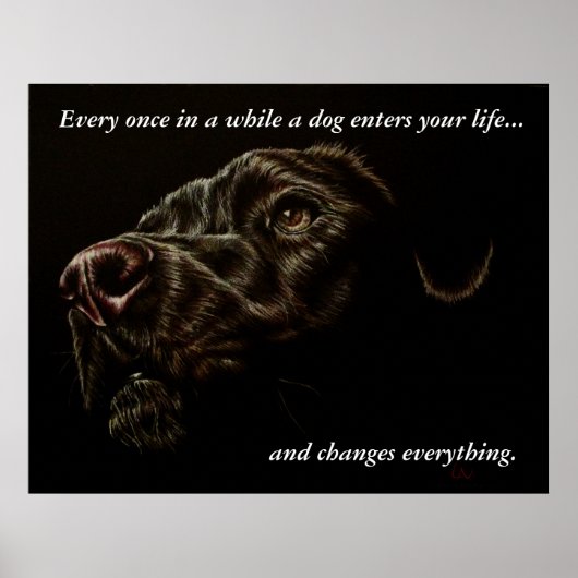 A Dog Enters Your Life - Black Dog Poster ポスター (正面)