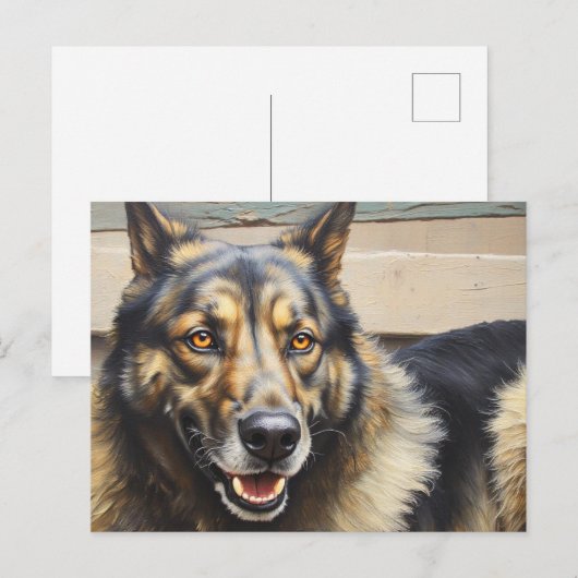 A domestic dog looks trustingly into the camera. ポストカード (正面/裏面)