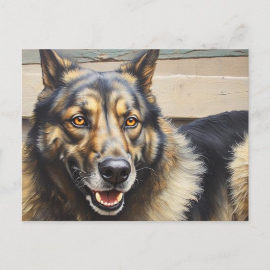 A domestic dog looks trustingly into the camera. ポストカード (正面)