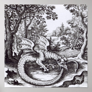 A Dragon in the Forest ポスター
