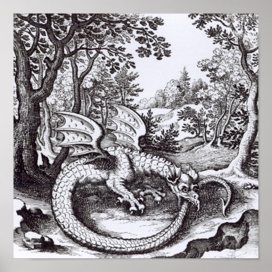 A Dragon in the Forest ポスター (正面)