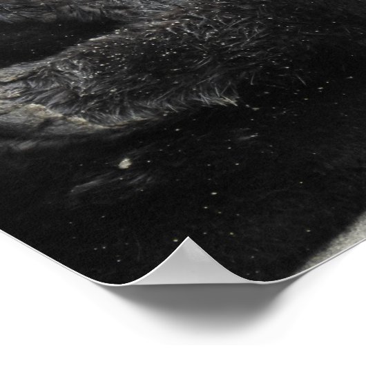 A dreaming sea otter ポスター (角)