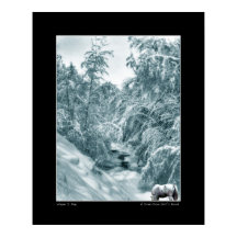 A Drink from Hall's Brook -ファインアートポスター