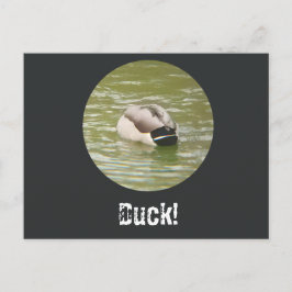 A Ducking Duck Postcard シーズンポストカード