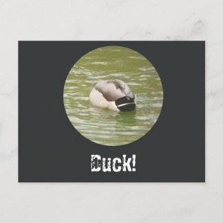 A Ducking Duck Postcard シーズンポストカード