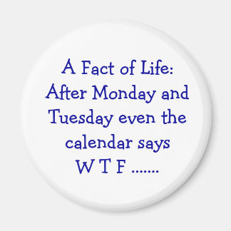 A Fact of Life – マグネット