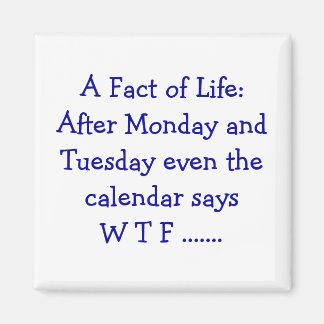 A Fact of Life – マグネット