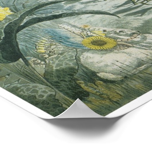 A Fairy Dance, George Cruikshank, Jr ポスター (角)