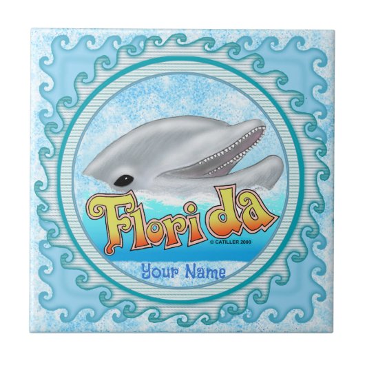 A Florida Dolphin タイル (正面)