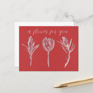 A flower for you ポストカード