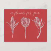 A flower for you ポストカード (正面)