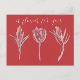 A flower for you ポストカード