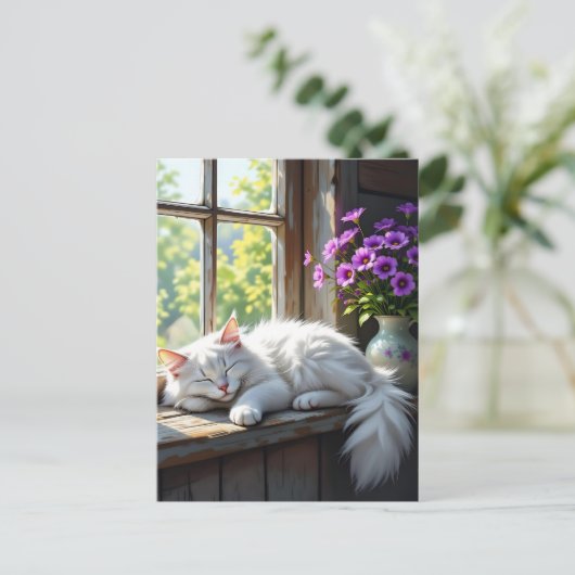 A Fluffy White Cat Napping on the Window Sill ポストカード (スタンド正面)