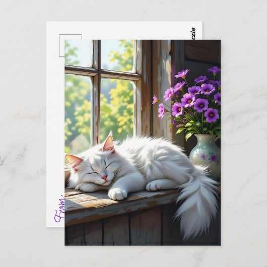 A Fluffy White Cat Napping on the Window Sill ポストカード (正面/裏面)