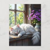 A Fluffy White Cat Napping on the Window Sill ポストカード (正面)