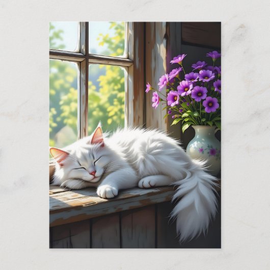 A Fluffy White Cat Napping on the Window Sill ポストカード (正面)