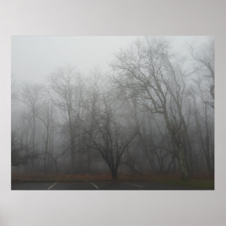 A foggy day on the Skyline Drive in Virginia ポスター