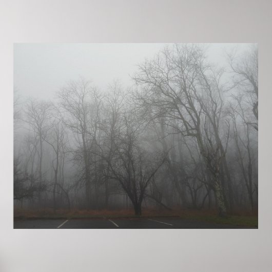 A foggy day on the Skyline Drive in Virginia ポスター (正面)