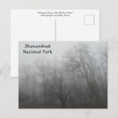 A foggy day on the Skyline Drive in Virginia ポストカード (正面/裏面)