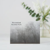 A foggy day on the Skyline Drive in Virginia ポストカード (スタンド正面)