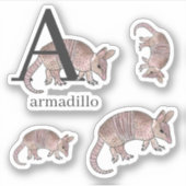 A for Armadillo Stickers シール (正面)